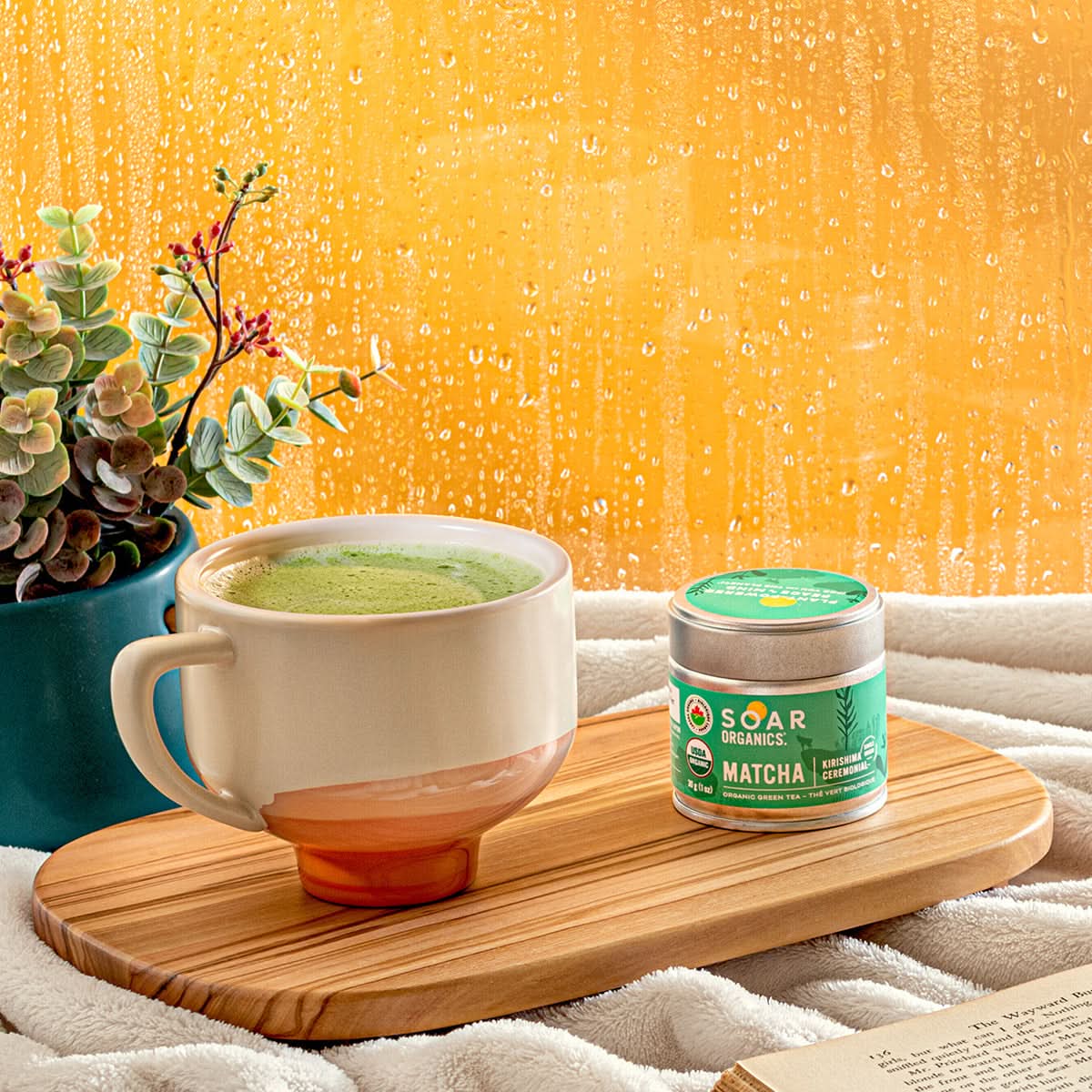 Soar Organics - Kirishima Ceremonial Matcha - Image 3